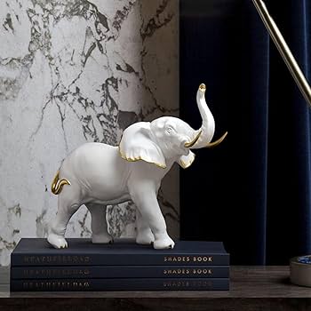 71IF6+9v4pL._AC_UF350,